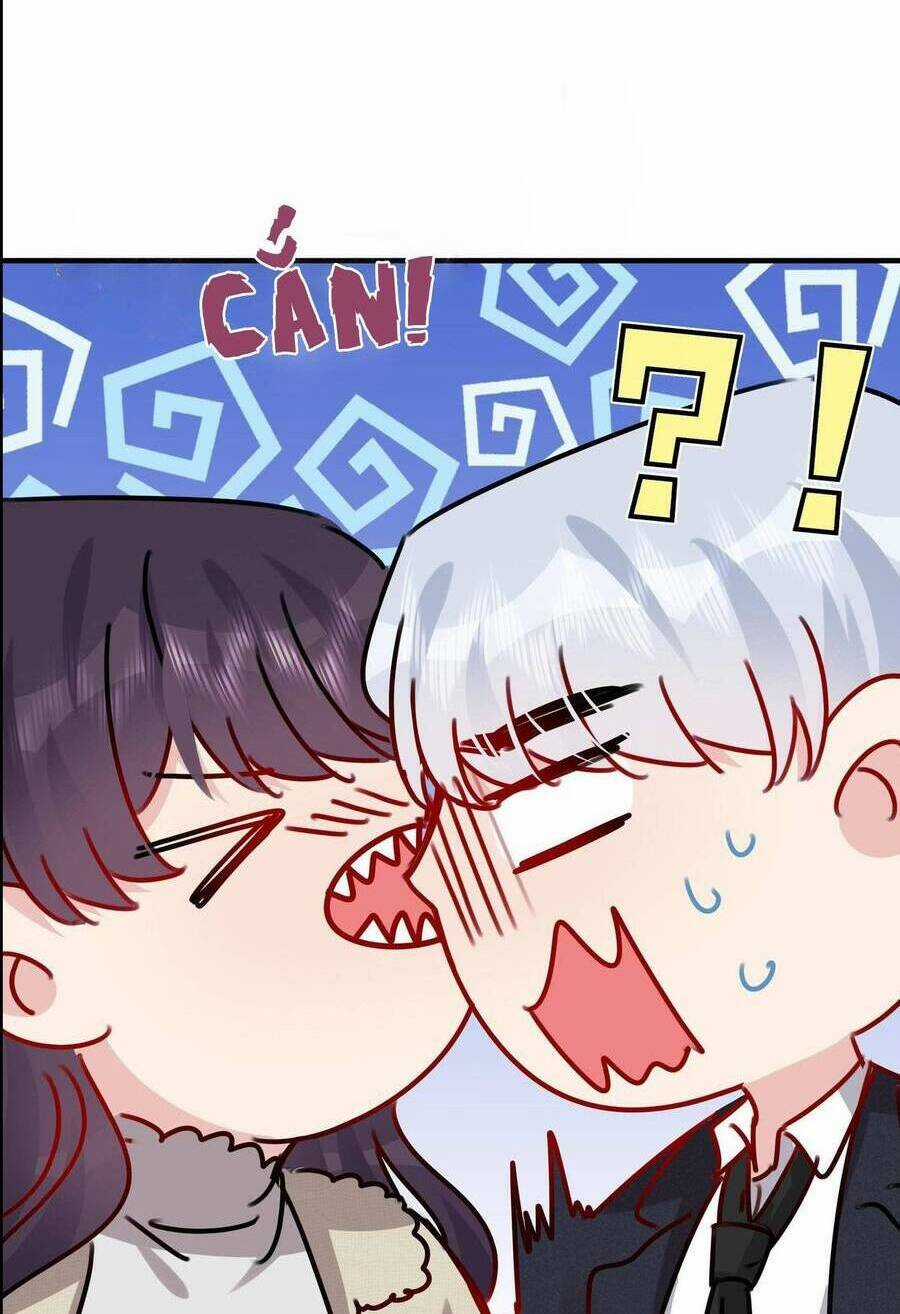 Hôn Nhân Hợp Đồng: Kết Hôn Với Thanh Mai Xảo Quyệt Chapter 39 trang 47