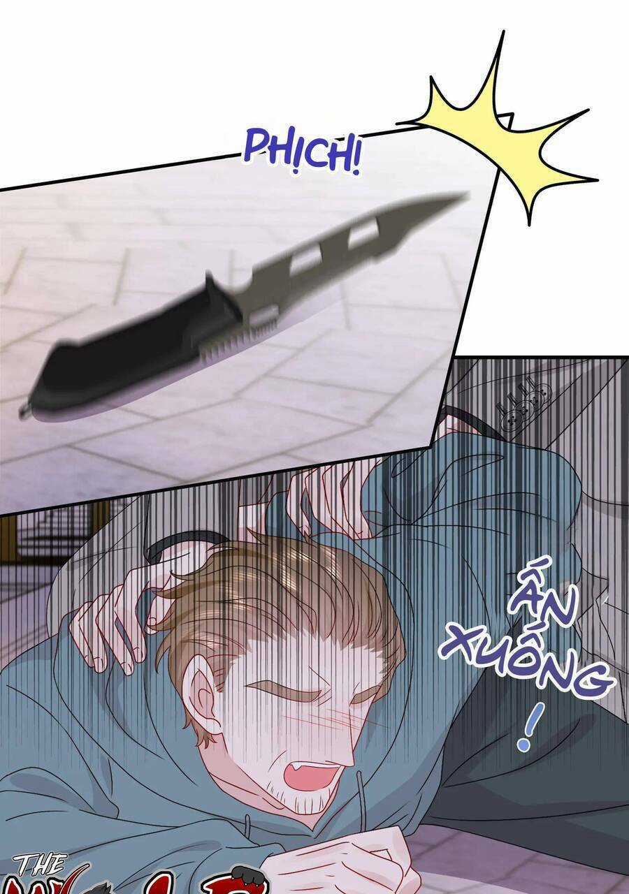 Hôn Nhân Hợp Đồng: Kết Hôn Với Thanh Mai Xảo Quyệt Chapter 59 trang 12