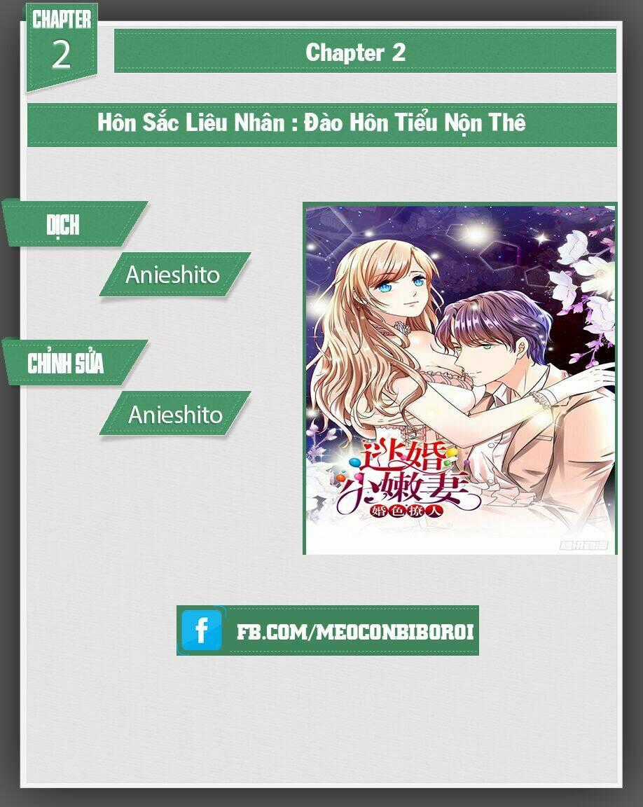 Hôn Sắc Liêu Nhân: Đào Hôn Tiểu Nộn Thê Chapter 2 trang 12