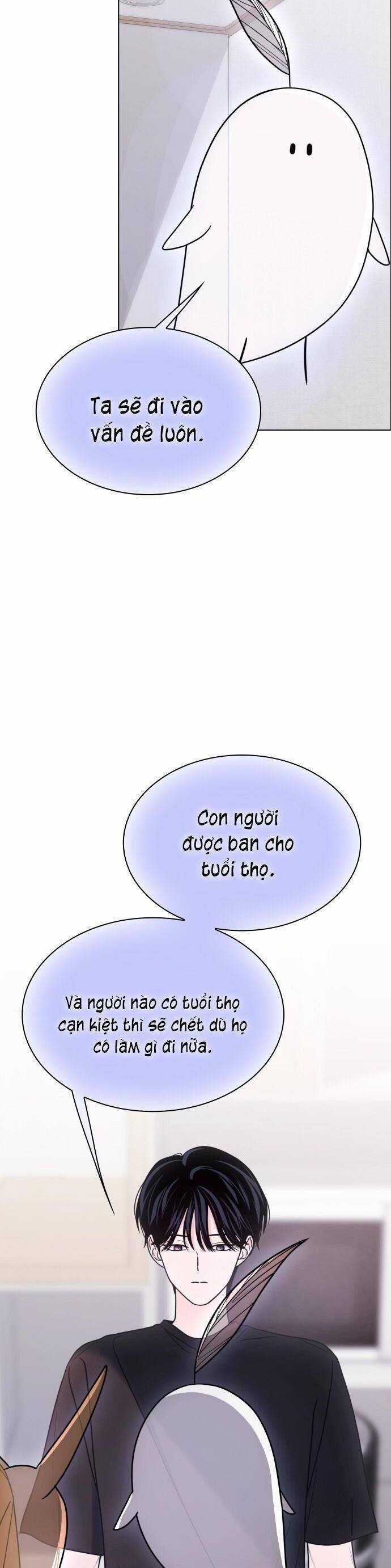 Hôn Trước Khi Ngủ Chapter 42 trang 14