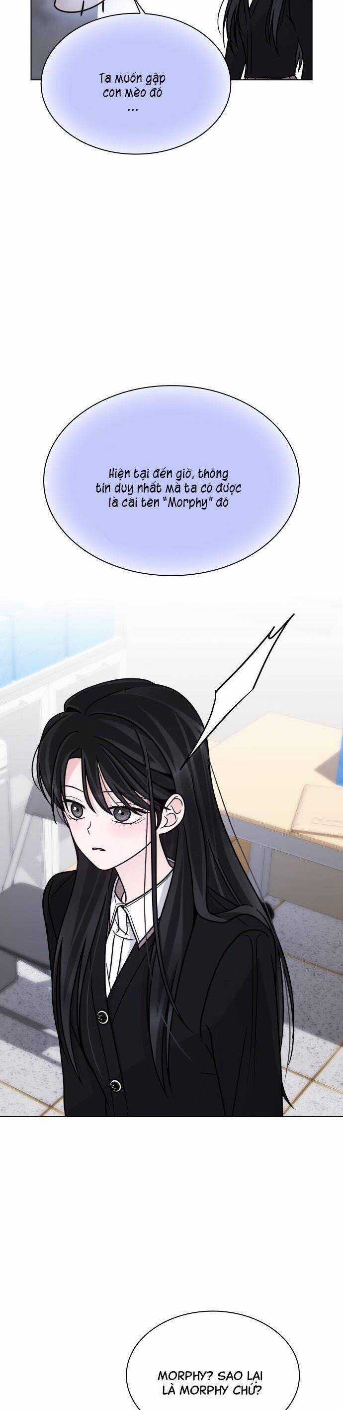 Hôn Trước Khi Ngủ Chương 24 trang 34