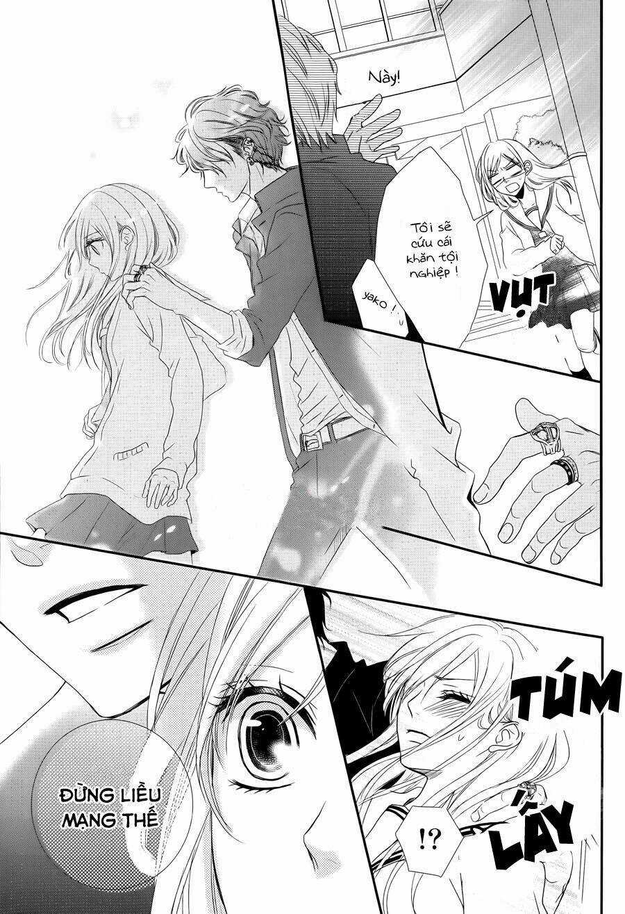 Honey Buddy Chapter 1 trang 4