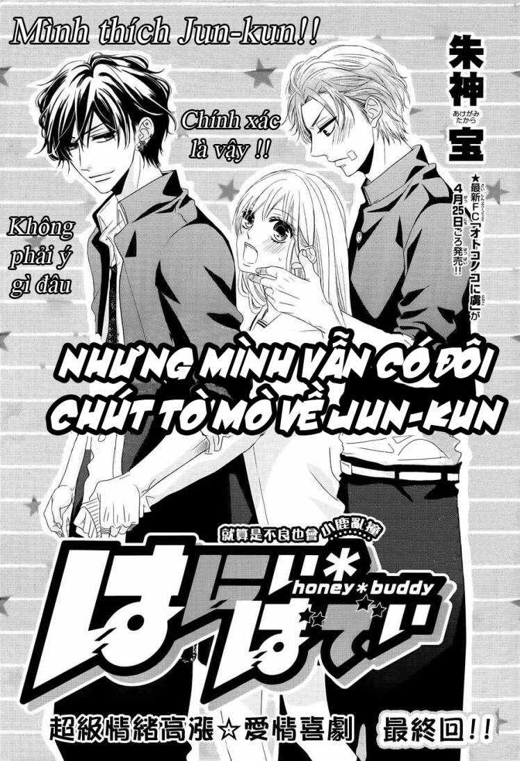 Honey Buddy Chapter 3 trang 2