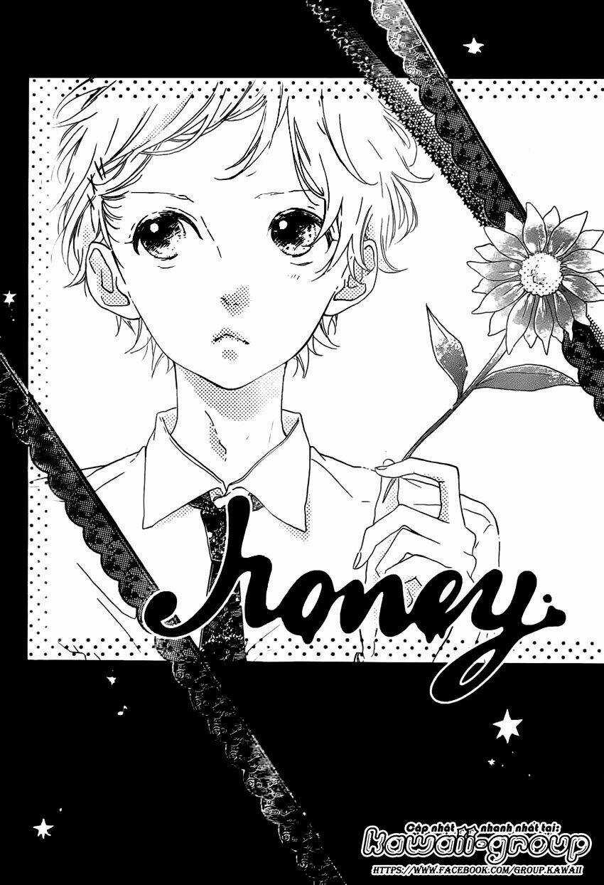 Honey (Meguro Amu) Chapter 20 trang 2