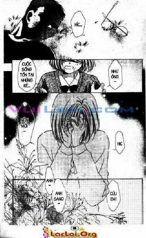 Honey Chapter 5 trang 31