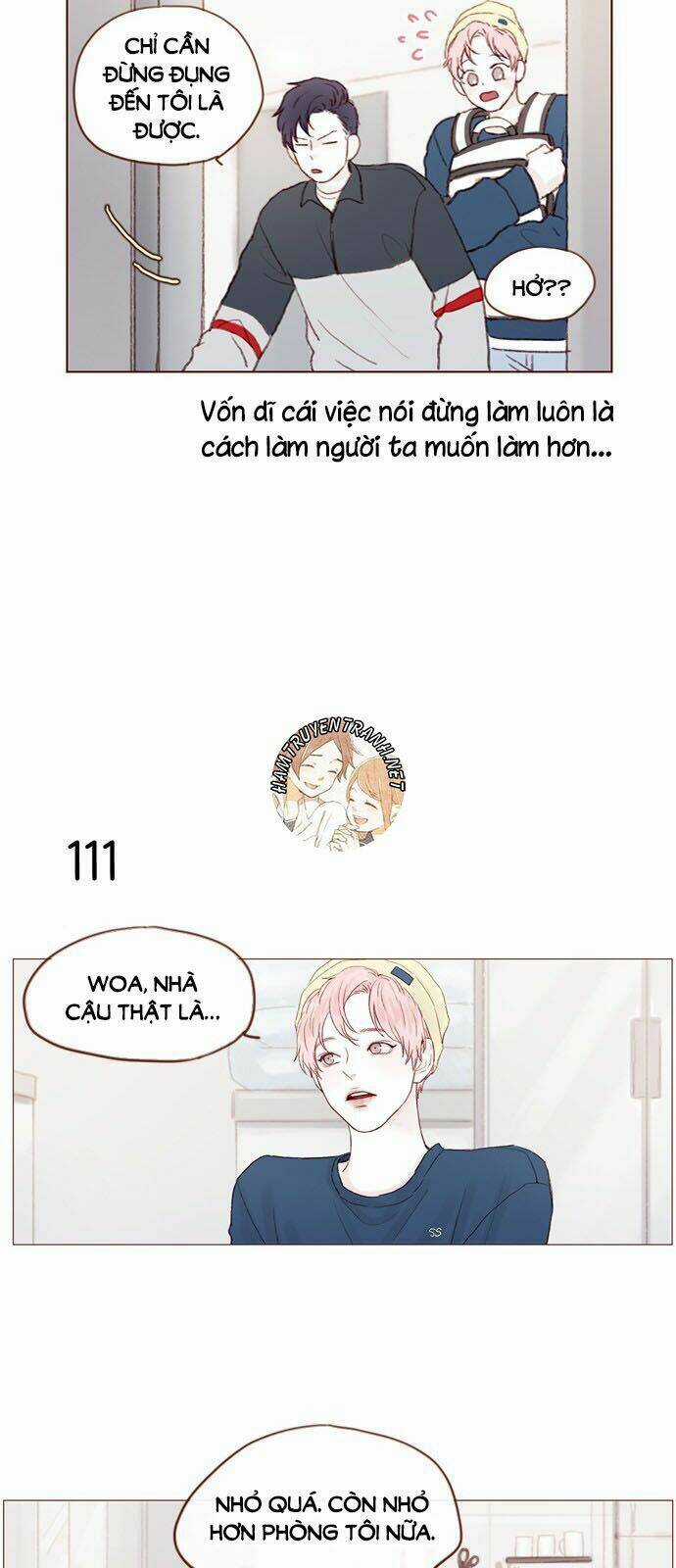 Hongshi Thích Tôi! Chapter 15 trang 13