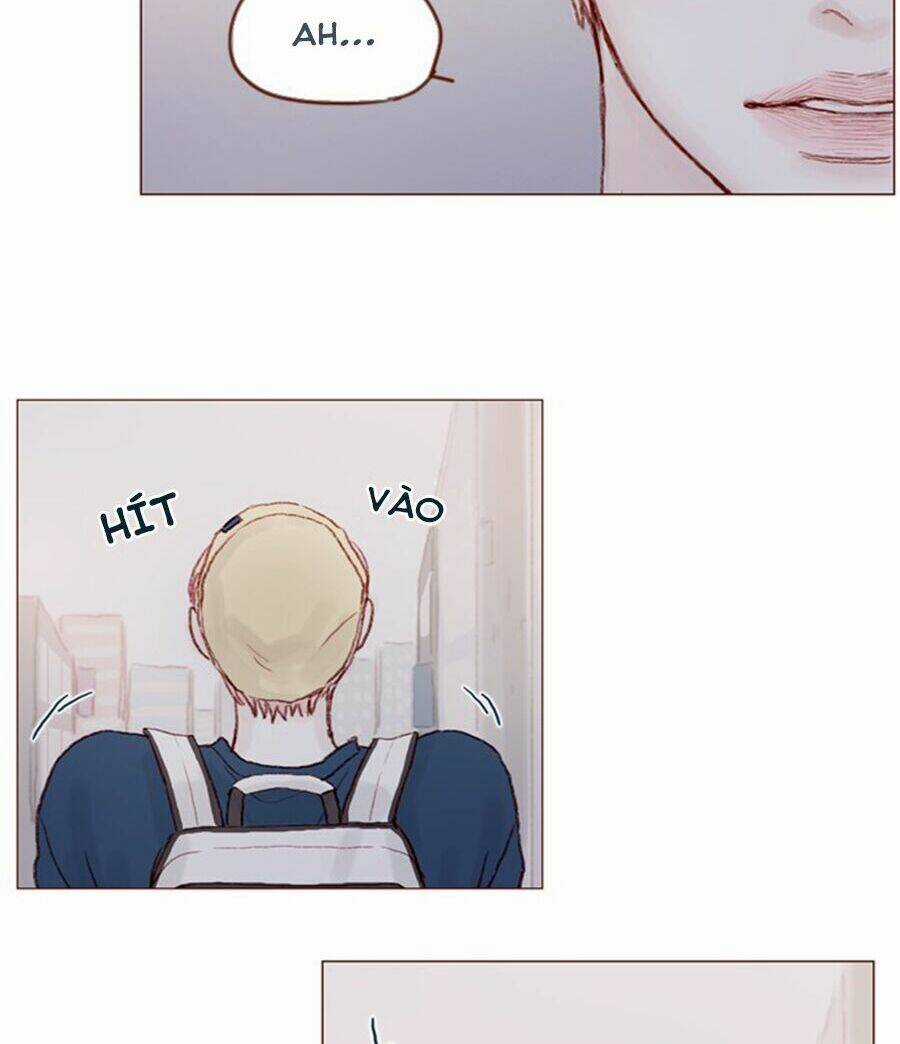 Hongshi Thích Tôi! Chapter 17 trang 31