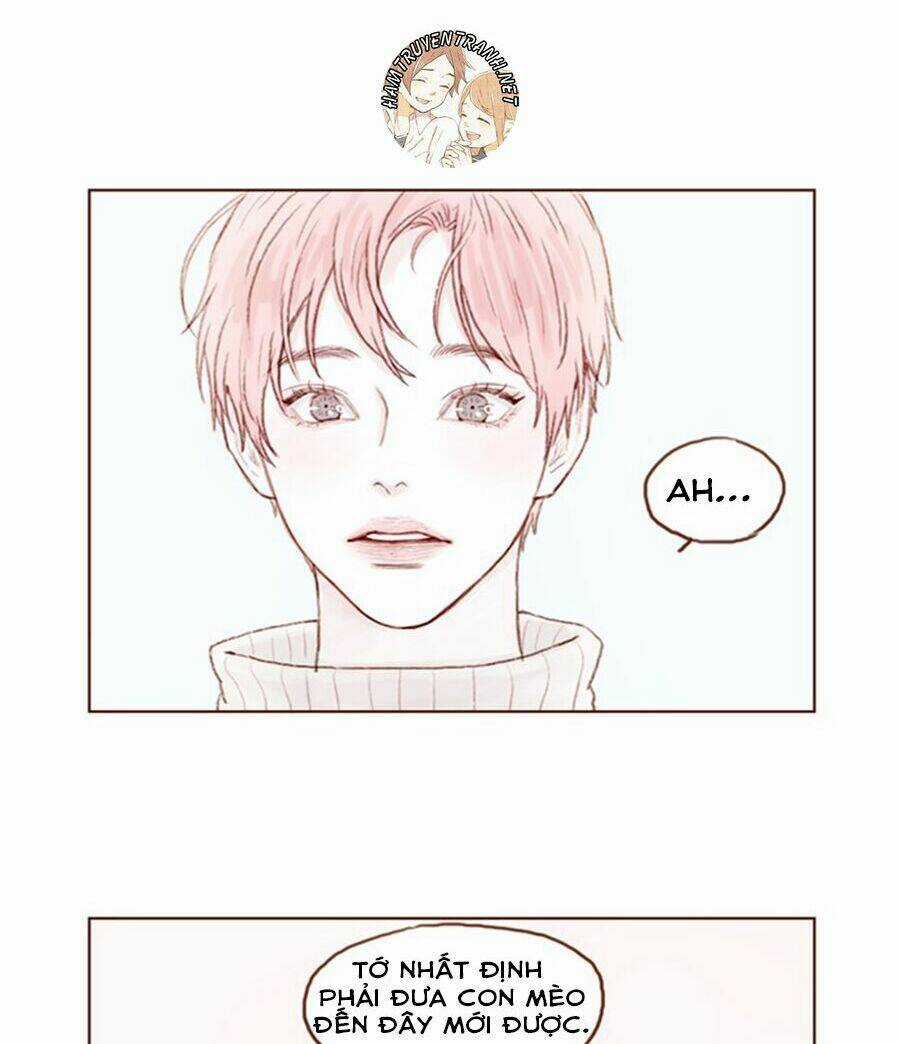 Hongshi Thích Tôi! Chapter 19 trang 14