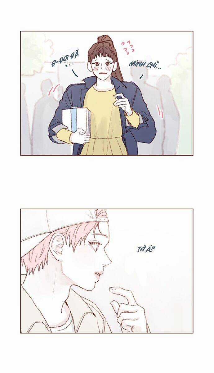 Hongshi Thích Tôi! Chapter 39 trang 10