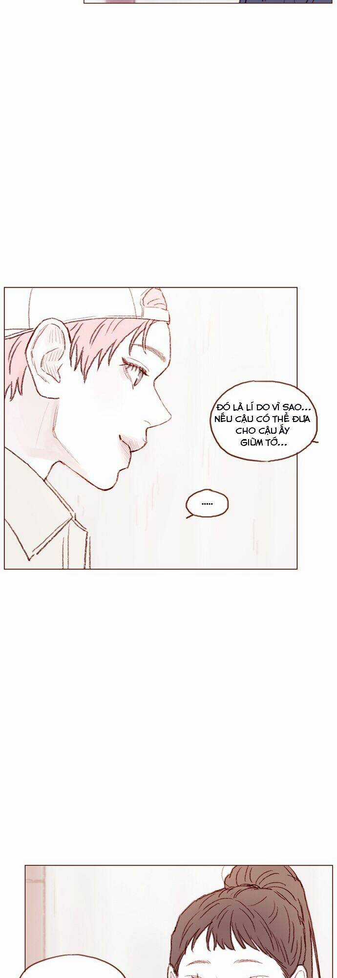 Hongshi Thích Tôi! Chapter 39 trang 13