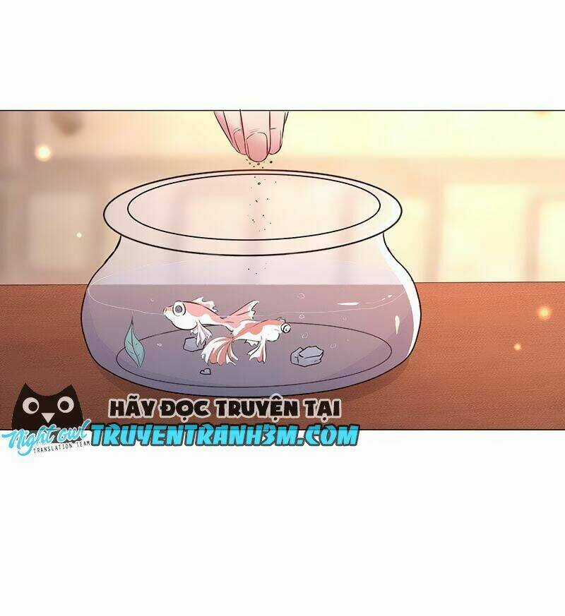 Hợp Đồng Vợ Ngọt Ngào Dẫn Bóng Chạy Chapter 13 trang 6