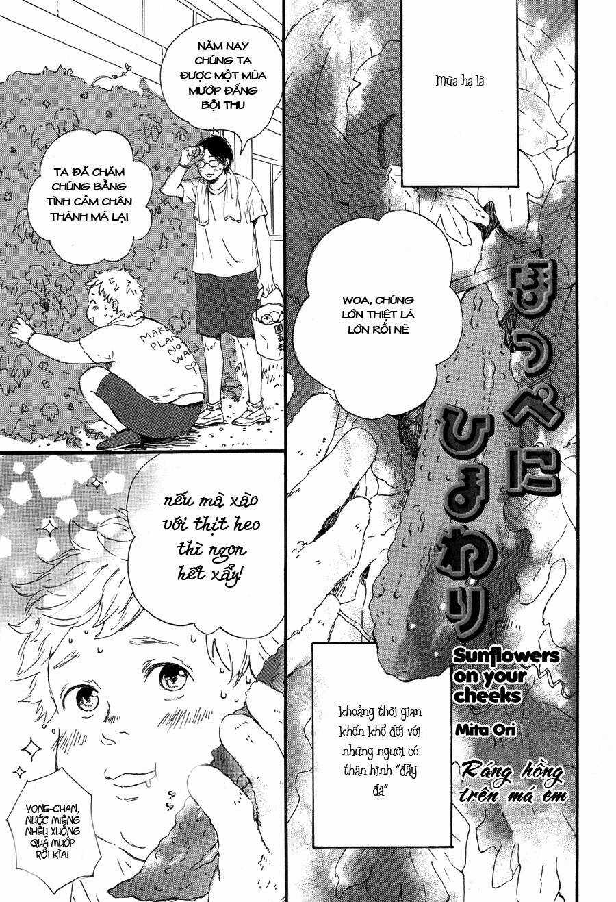 Hoppe Ni Himawari Chapter 1 trang 2