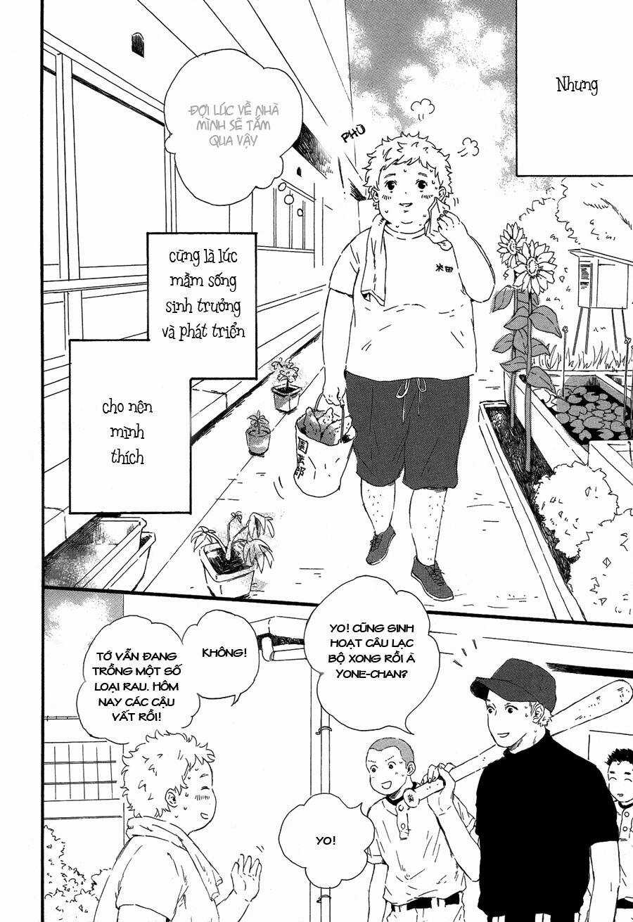 Hoppe Ni Himawari Chapter 1 trang 3