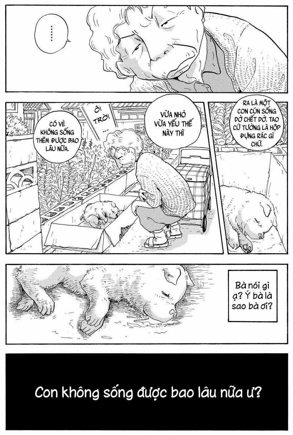 Hoshi Mamoru Inu Chapter 7 trang 10