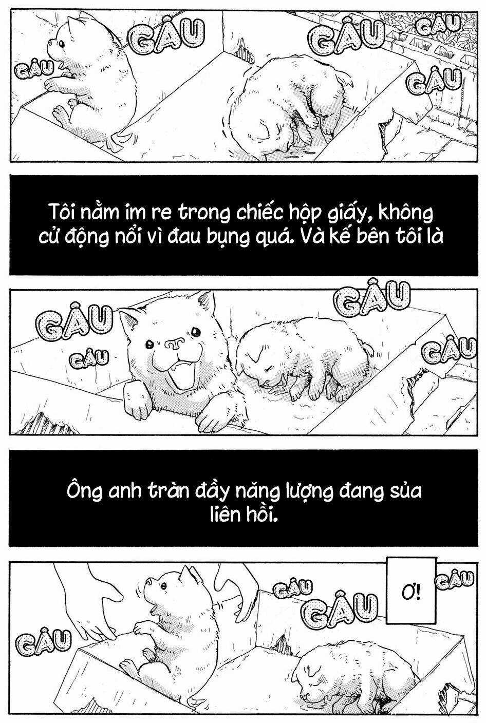 Hoshi Mamoru Inu Chapter 7 trang 8