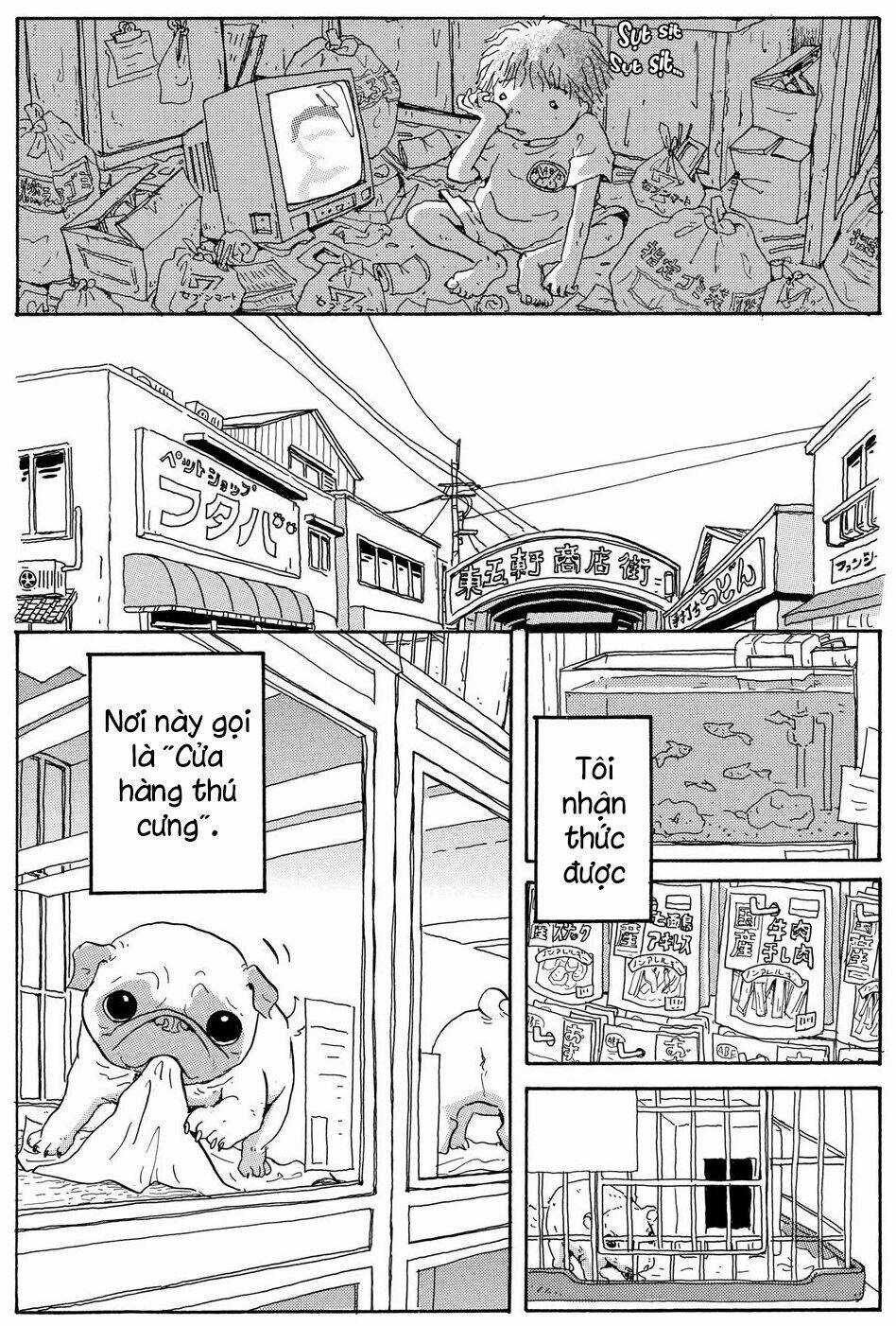 Hoshi Mamoru Inu Chapter 9 trang 10