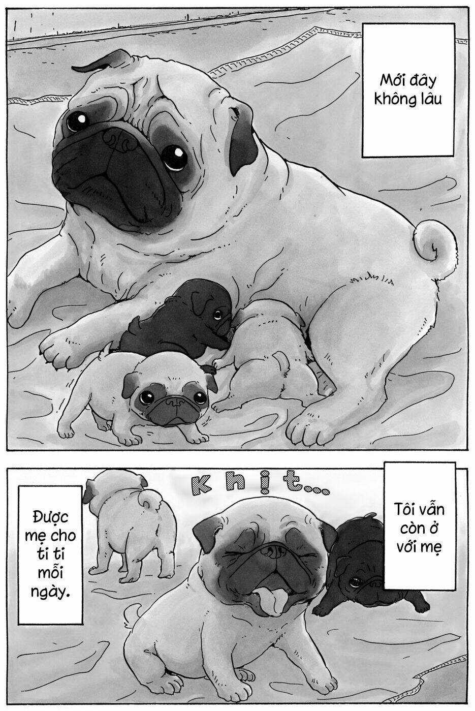 Hoshi Mamoru Inu Chapter 9 trang 5