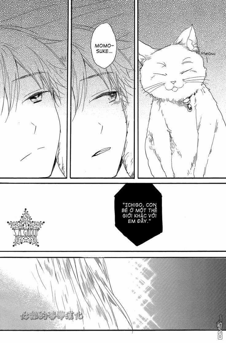 Hoshikuzu Drop Chapter 6 trang 12