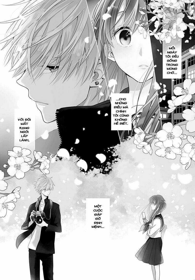 Hoshikuzu Gakuen C Course Chapter 1 trang 3