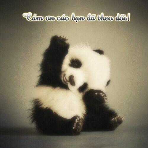 Houou Gakuen Misoragumi Chapter 8 trang 26