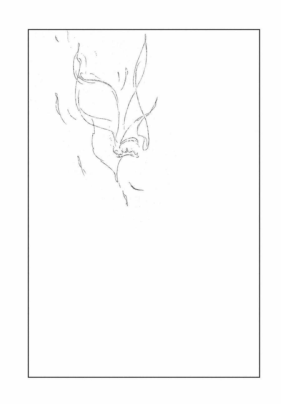 Houseki no Kuni Chapter 107 trang 8