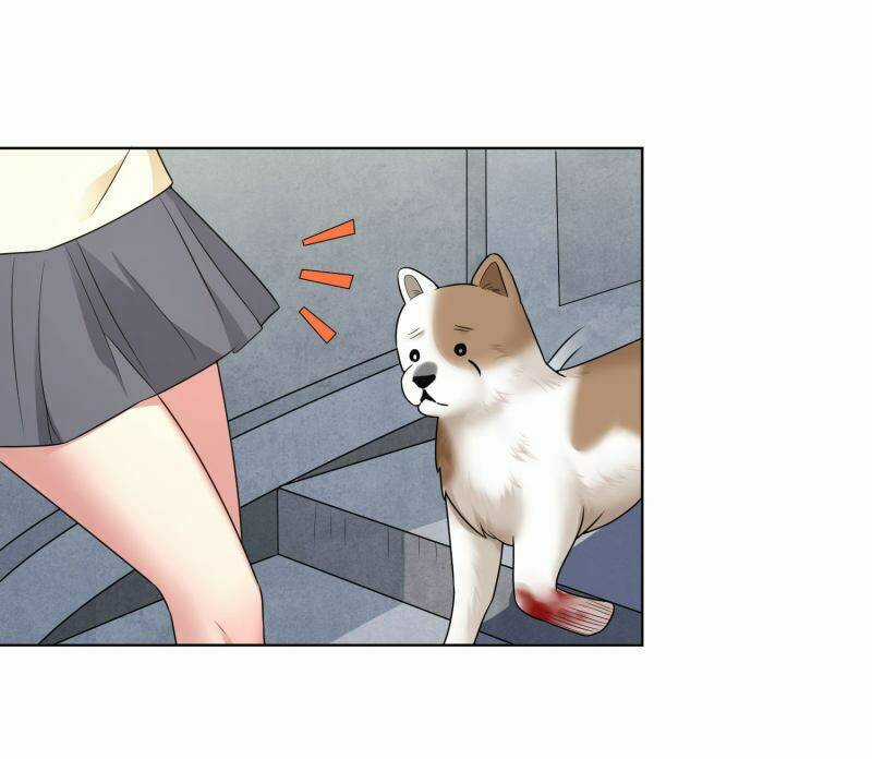 Huấn Luyện Viên Của Nữ Thần Chapter 13 trang 2