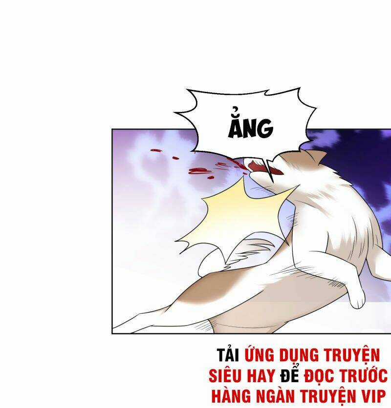 Huấn Luyện Viên Của Nữ Thần Chapter 13 trang 6