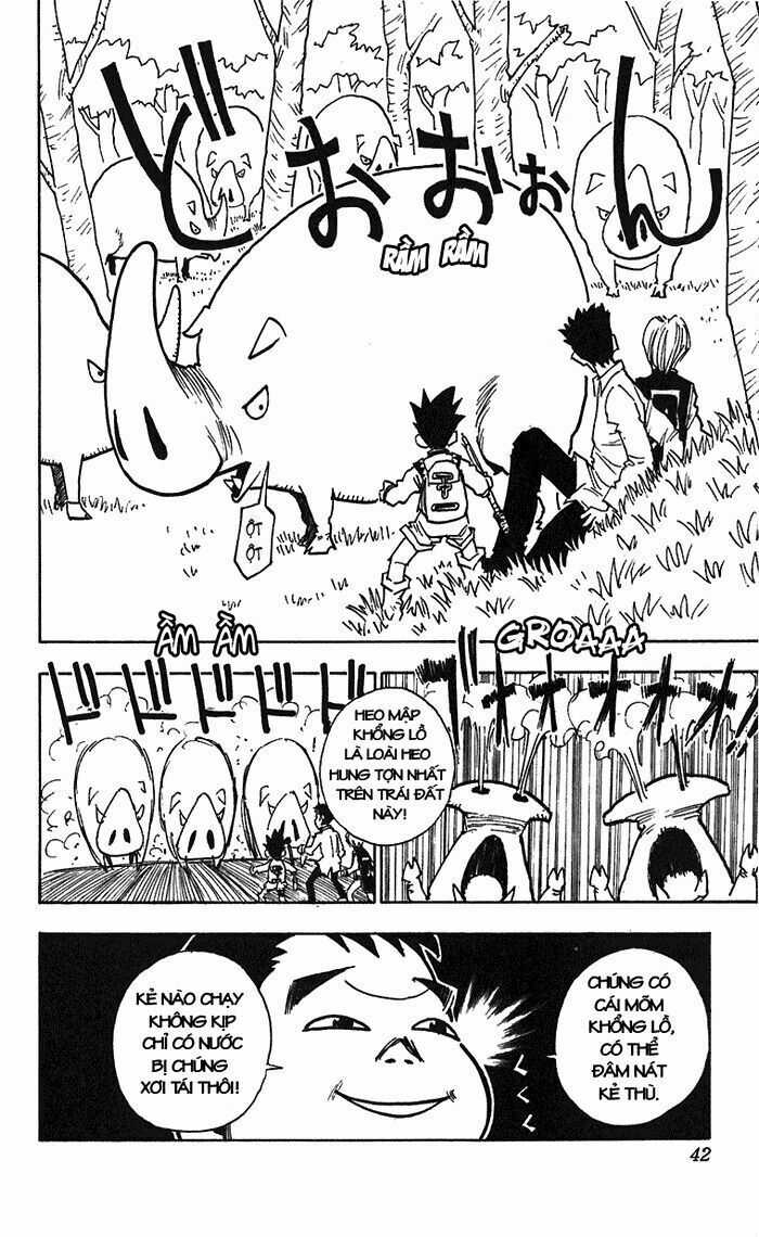 HUNTER X HUNTER Chapter 10 trang 17