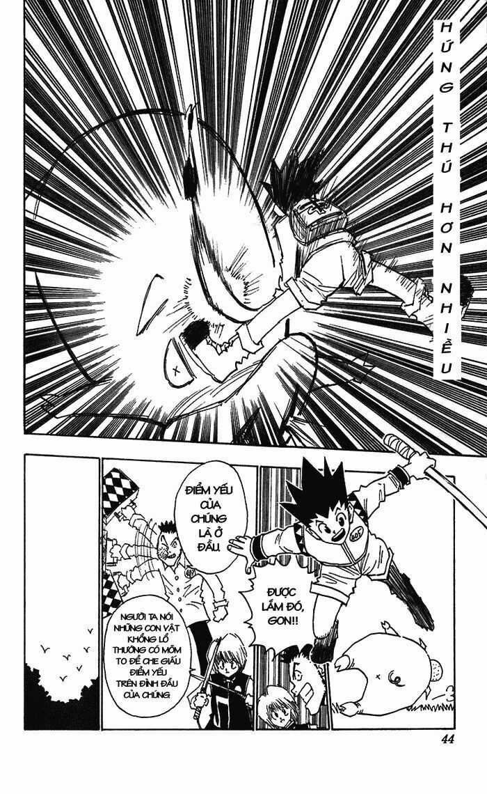 HUNTER X HUNTER Chapter 10 trang 19