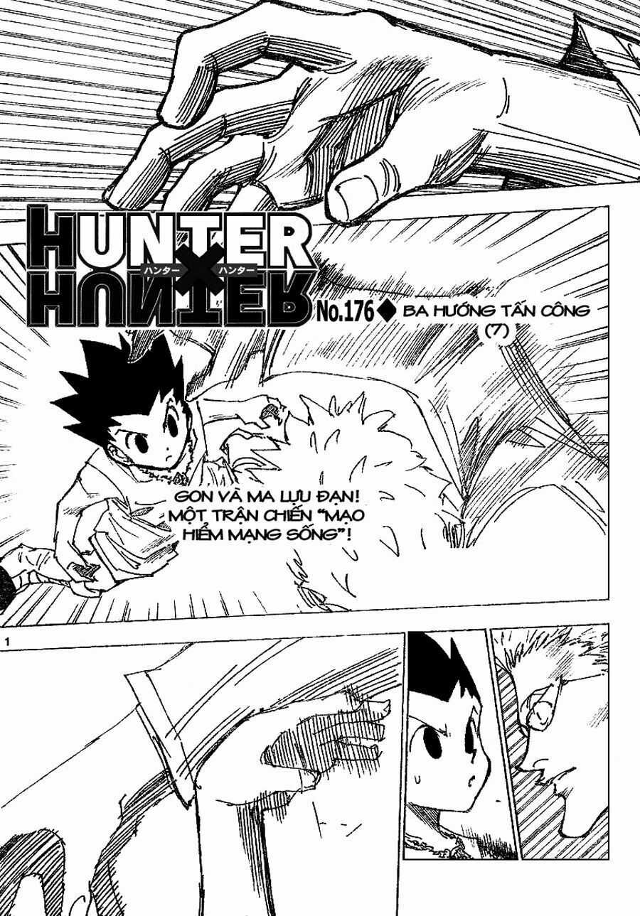 HUNTER X HUNTER Chapter 176 trang 1