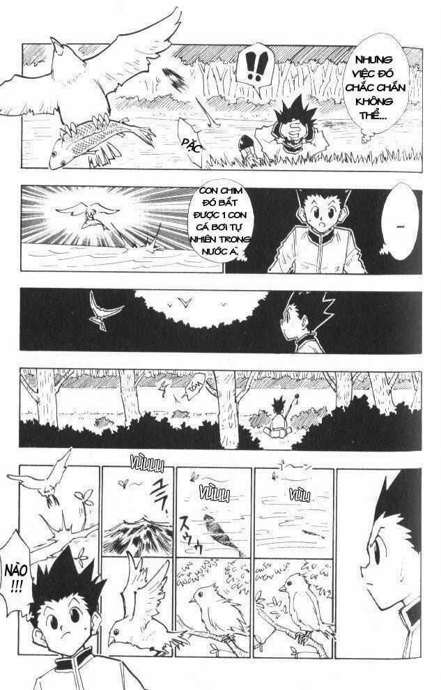 HUNTER X HUNTER Chapter 24 trang 18
