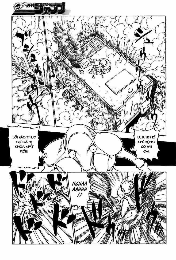 HUNTER X HUNTER Chapter 283 trang 7