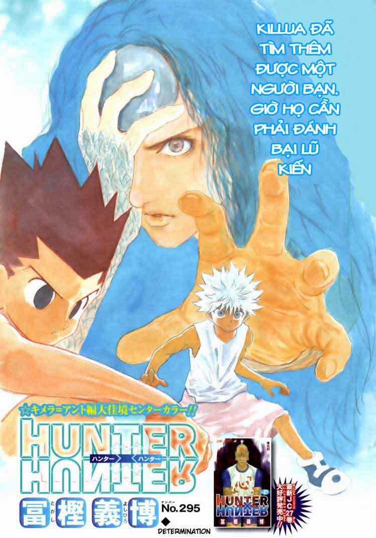 HUNTER X HUNTER Chapter 295 trang 1
