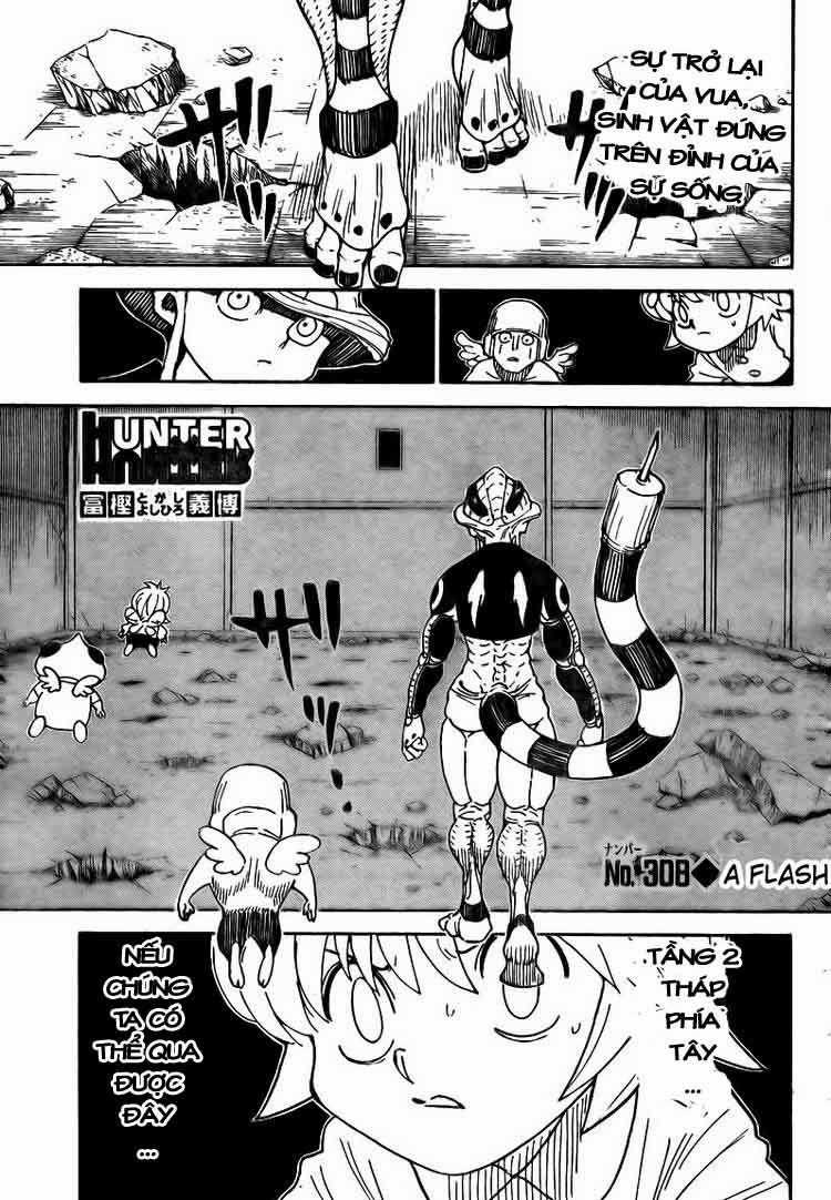 HUNTER X HUNTER Chapter 308 trang 1