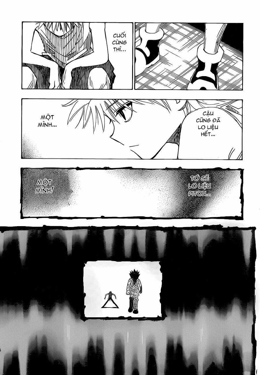 HUNTER X HUNTER Chapter 316 trang 10