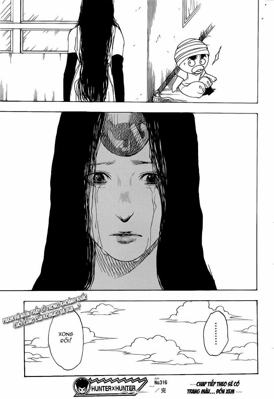 HUNTER X HUNTER Chapter 316 trang 20
