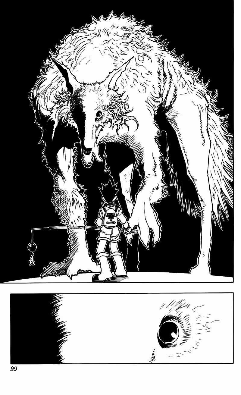 HUNTER X HUNTER Chapter 40 trang 13