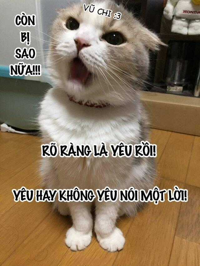 Hướng Dẫn Bảo Trì Người Máy Chapter 20 trang 23