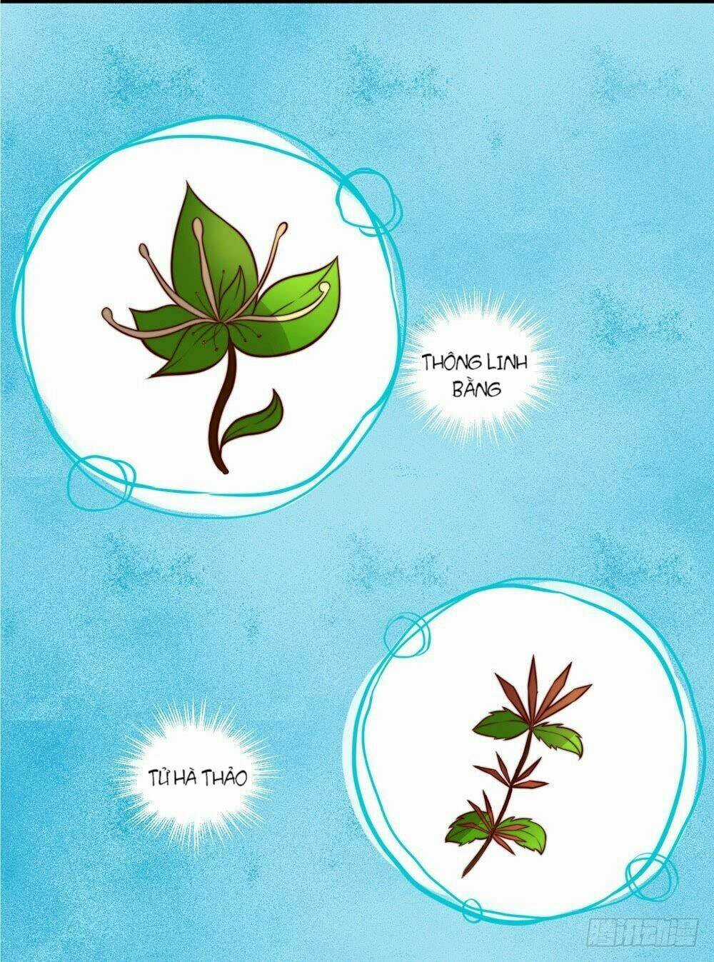 Hướng Dẫn Sau Kết Hôn Của Vương Phi Chapter 12 trang 20