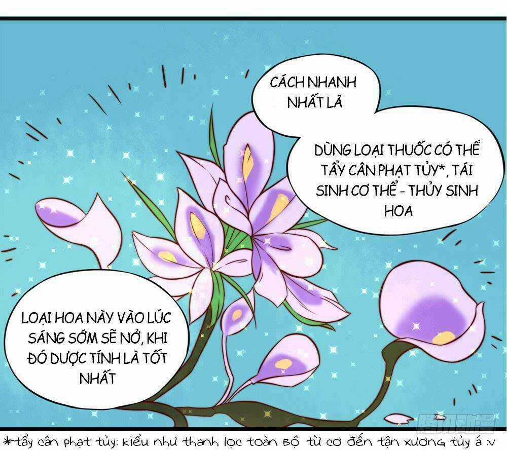 Hướng Dẫn Sau Kết Hôn Của Vương Phi Chapter 17 trang 24