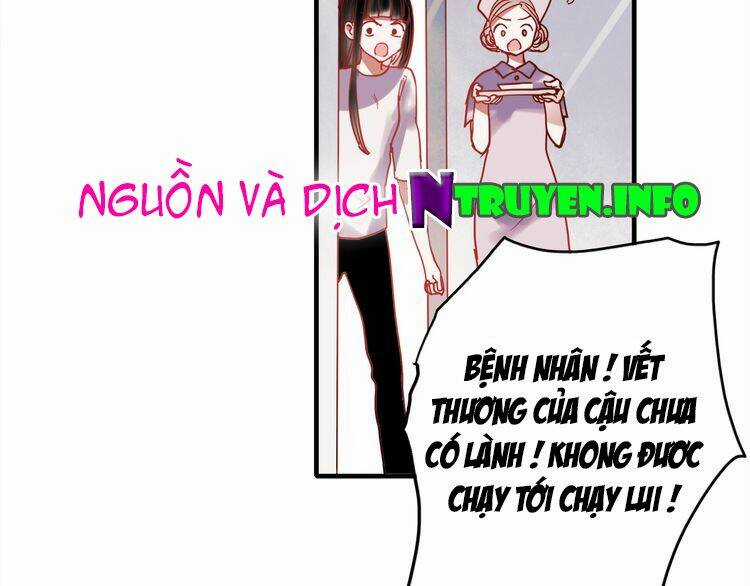 Hướng Tới Ánh Mặt Trời Chapter 55 trang 3