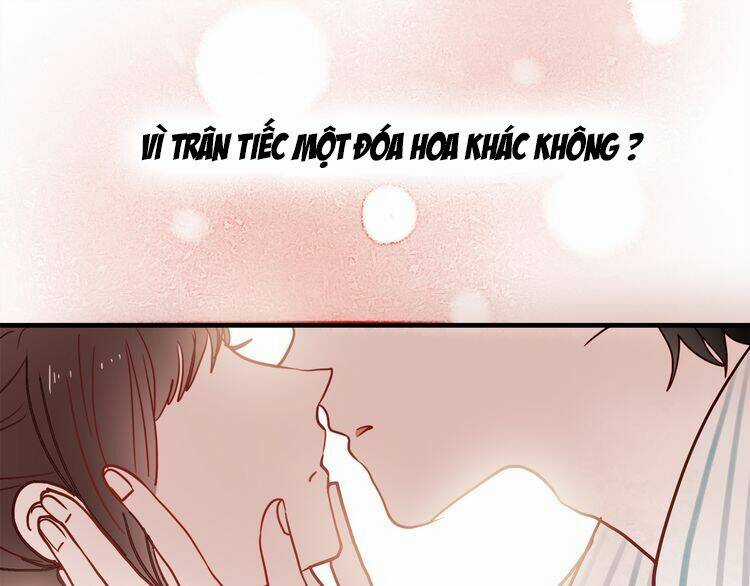 Hướng Tới Ánh Mặt Trời Chapter 55 trang 55