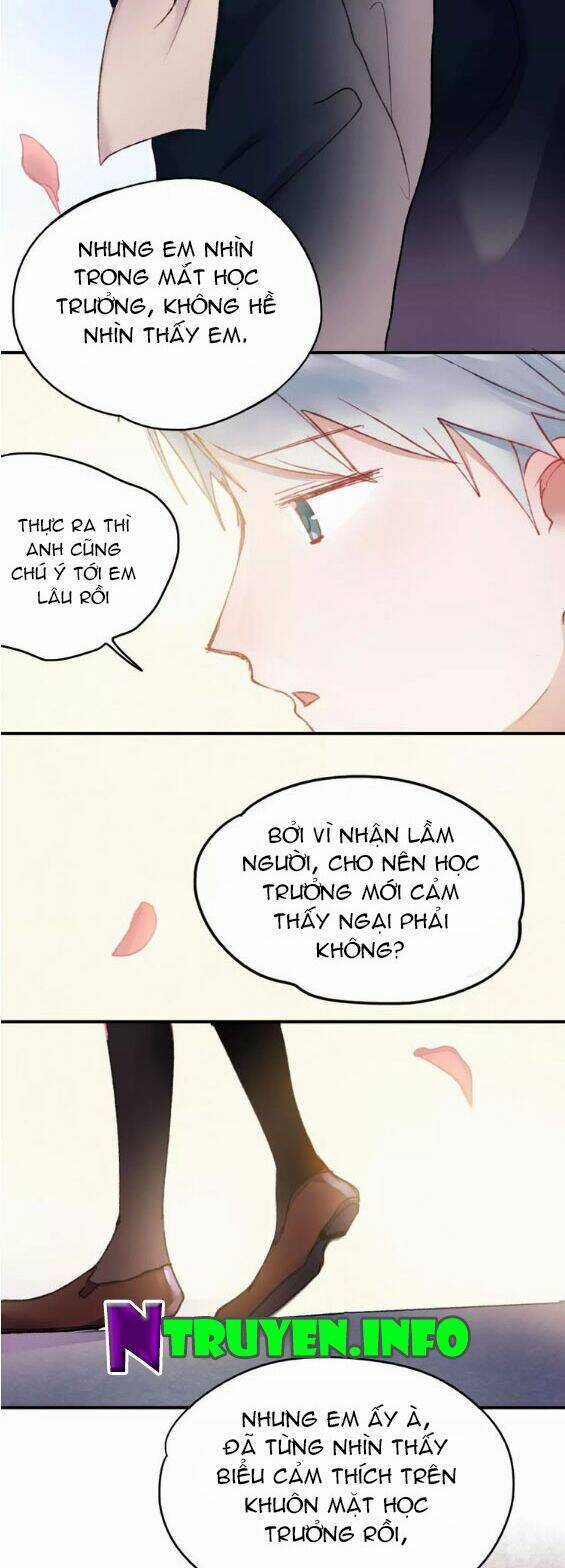 Hướng Tới Ánh Mặt Trời Chapter 71 trang 11