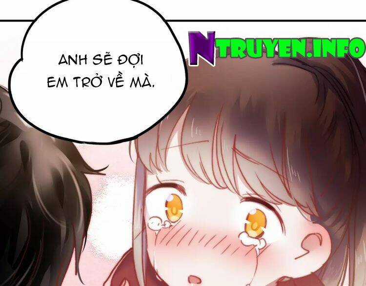 Hướng Tới Ánh Mặt Trời Chapter 75 trang 15