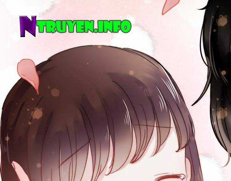 Hướng Tới Ánh Mặt Trời Chapter 76 trang 39