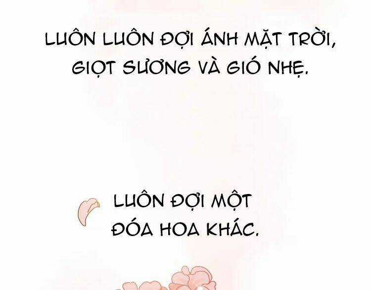 Hướng Tới Ánh Mặt Trời Chapter 81 trang 25