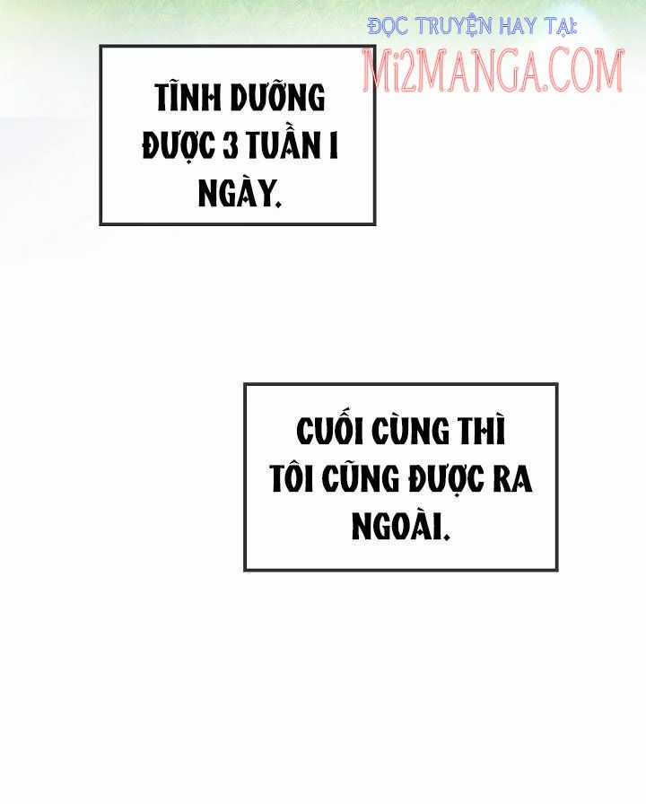 Hướng Về Ánh Dương Lần Nữa Chapter 26 trang 5