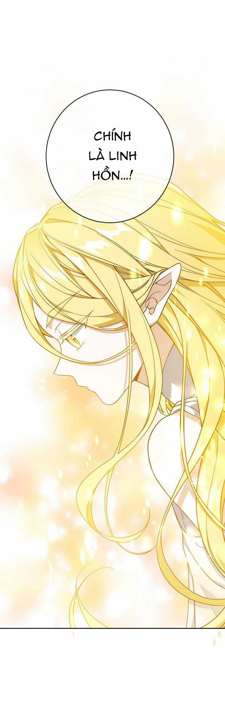 Hướng Về Ánh Dương Lần Nữa Chapter 35.1 trang 30