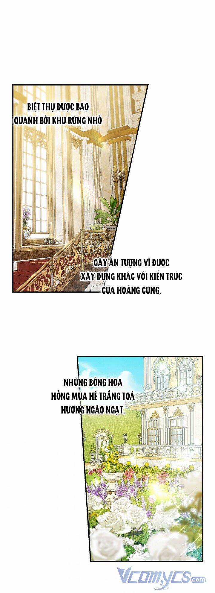 Hướng Về Ánh Dương Lần Nữa Chapter 36 trang 20