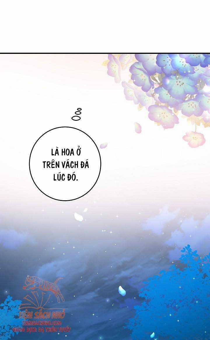 Hướng Về Ánh Dương Lần Nữa Chapter 45 trang 55